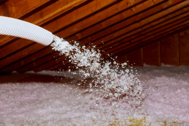 Best Geographic-Specific Insulation Services in Haskell, AR