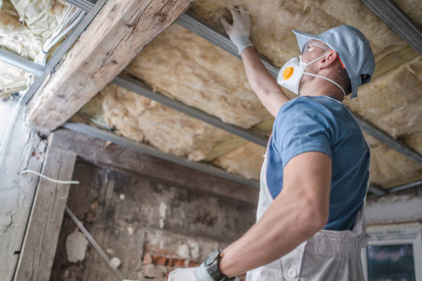 Best Eco-Friendly Insulation in Haskell, AR