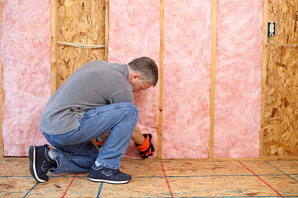 Best Residential Insulation in Haskell, AR