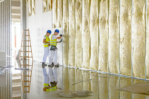 Best Geographic-Specific Insulation Services in Haskell, AR